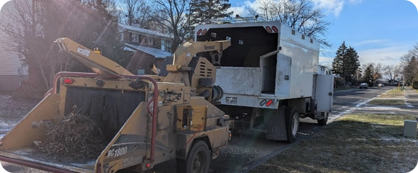 Professional tree removal equipment and truck
