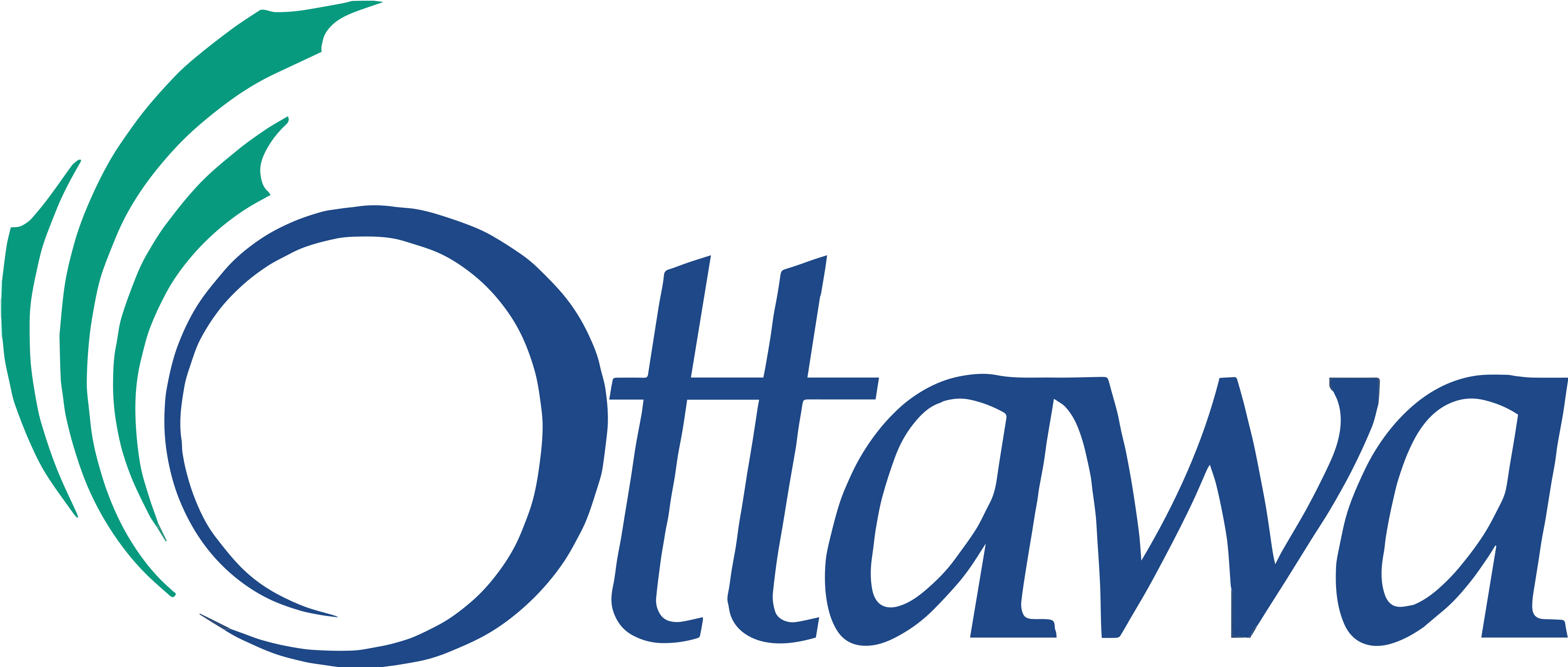 Ottawa locals icon